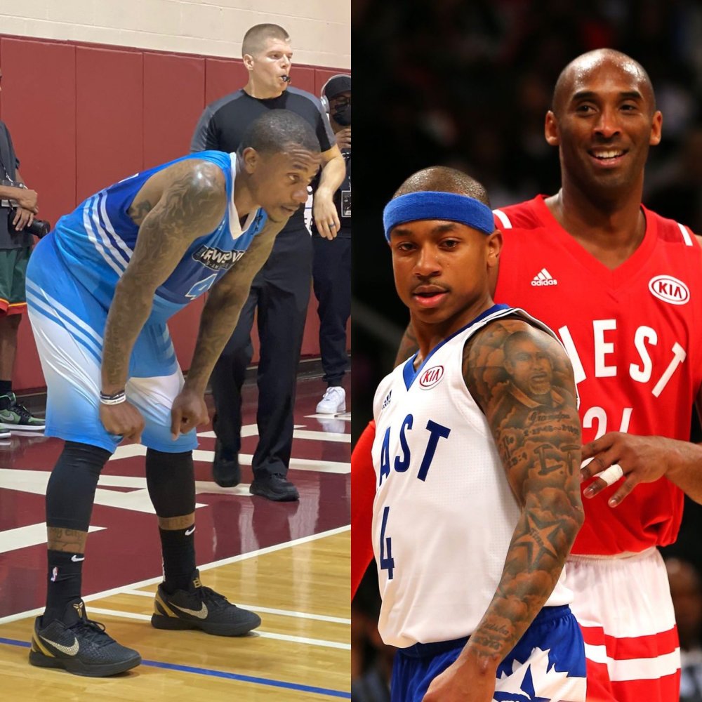 也放大了维 也放大了维